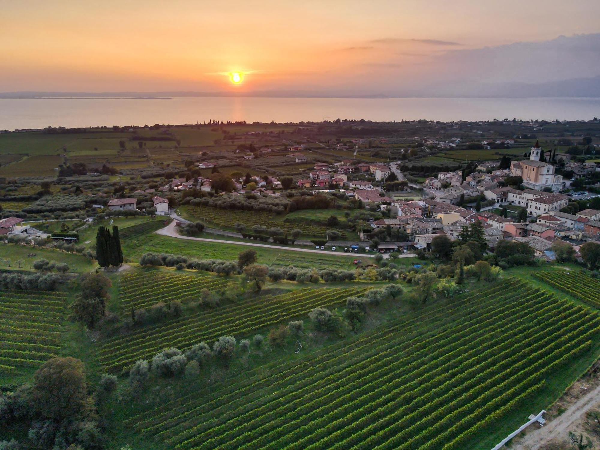 Villa Calicantus Бардолино Екстериор снимка